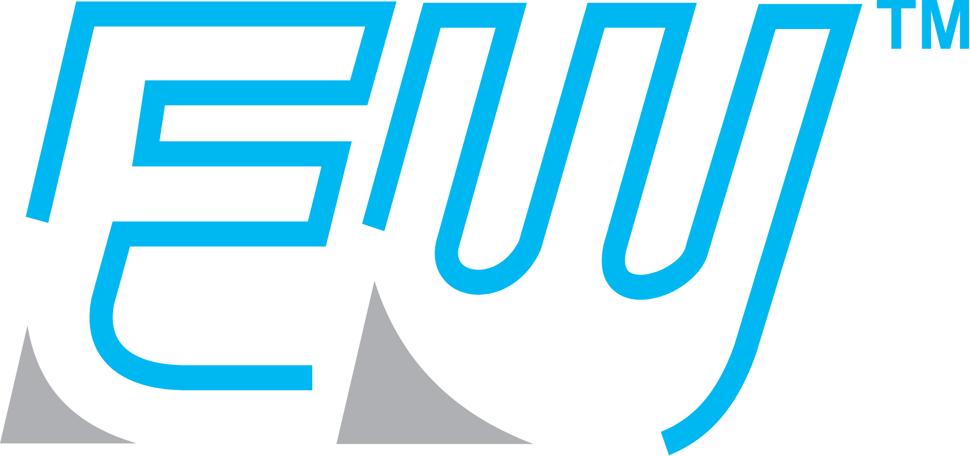East West Freight Carriers Limited logo